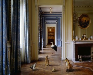 karen-knorr-dalla-serie-fables-musee-carnavalet-2004